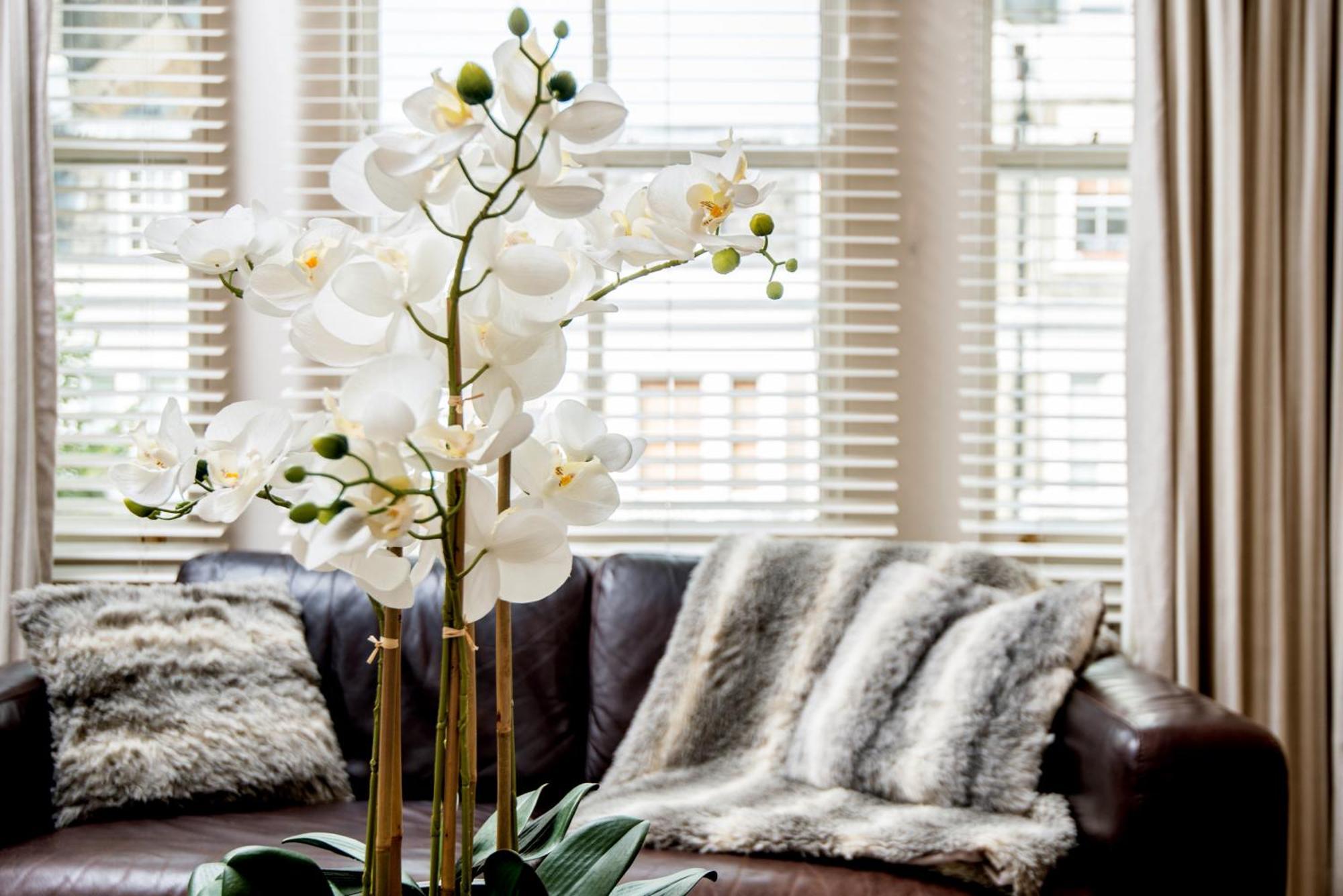 Spacious, Calm One Bedroom Londen Buitenkant foto