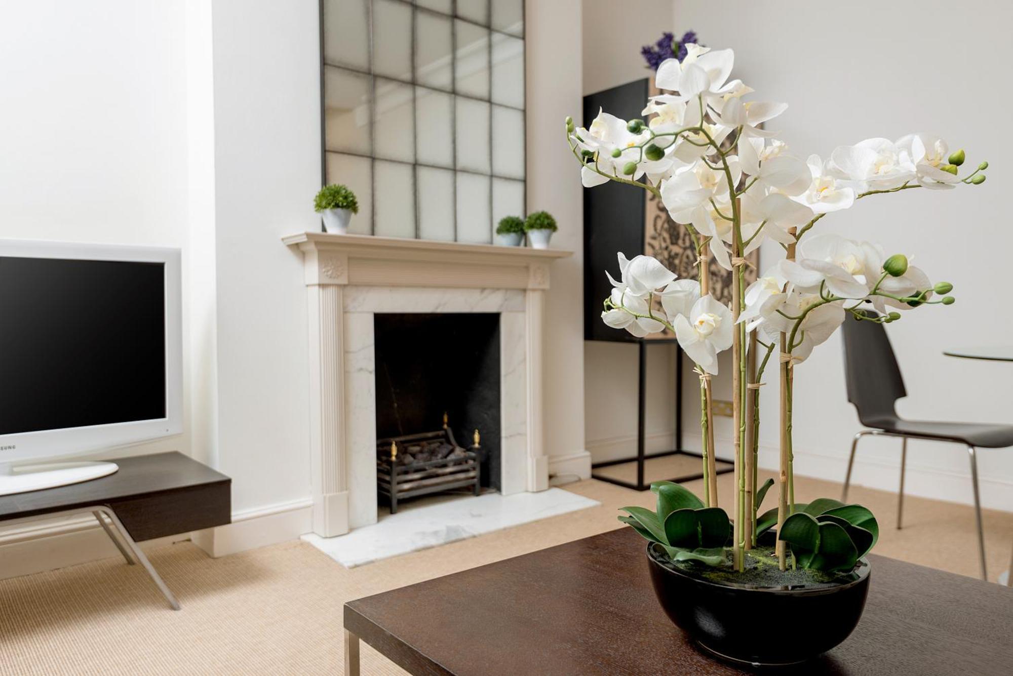 Spacious, Calm One Bedroom Londen Buitenkant foto